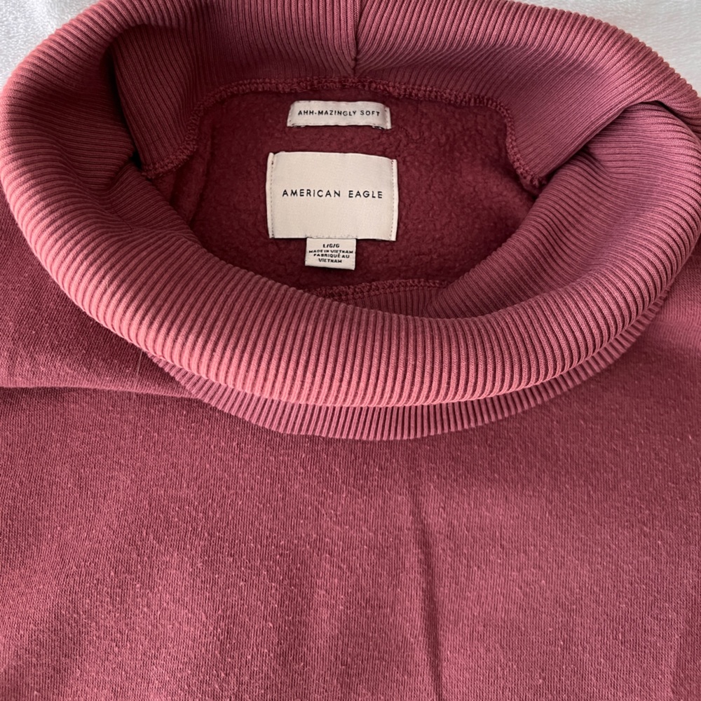 Cropped American Eagle turtleneck